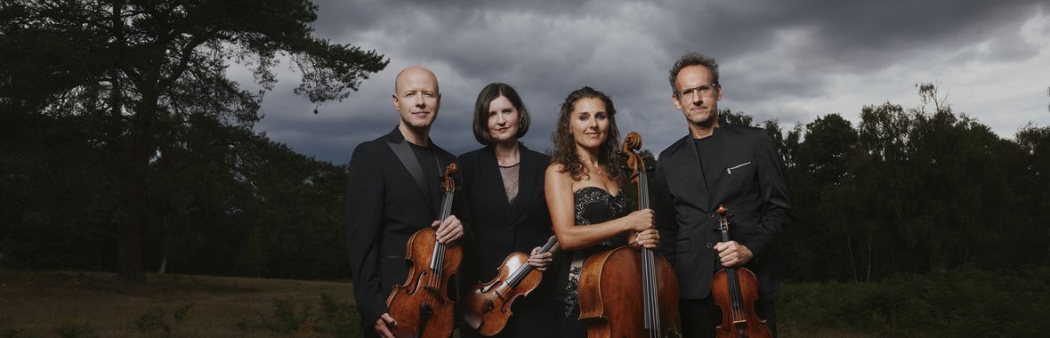 Two men and two women wearing formal dress, standing outside in a dark forest, holding their string instruments.