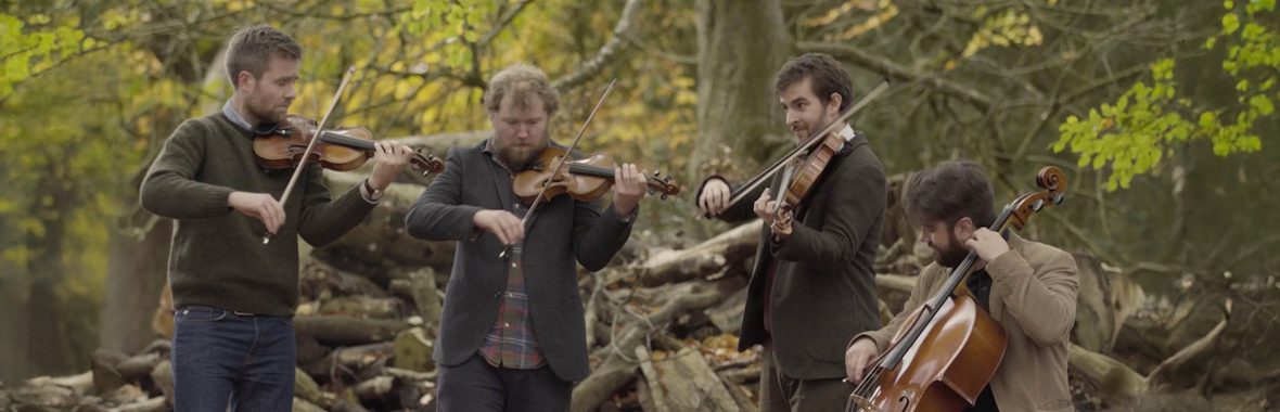 Four men in a woodland playing string instruments.