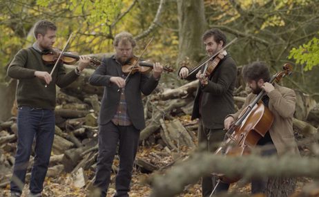 Four men in a woodland playing string instruments.