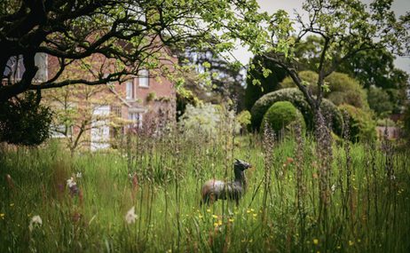 Small statue of an animal in the middle of a natural garden.