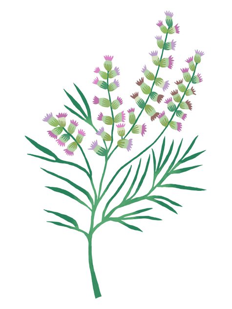 A print of mugwort by Brie Harrison