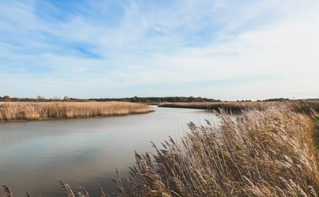 The River Alde and reedbed