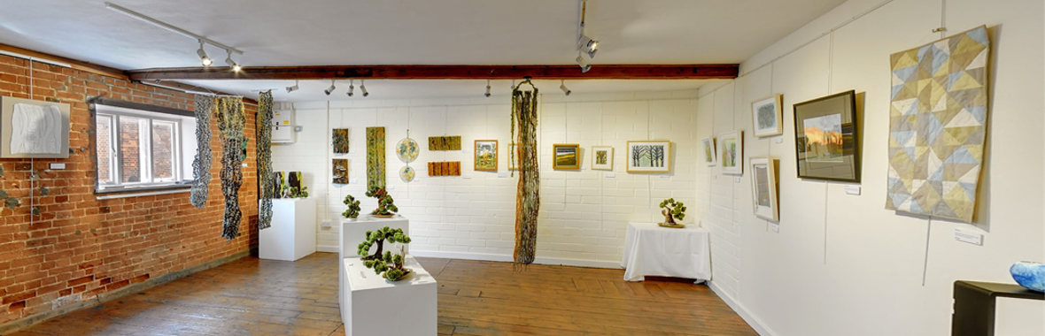 Pond Gallery