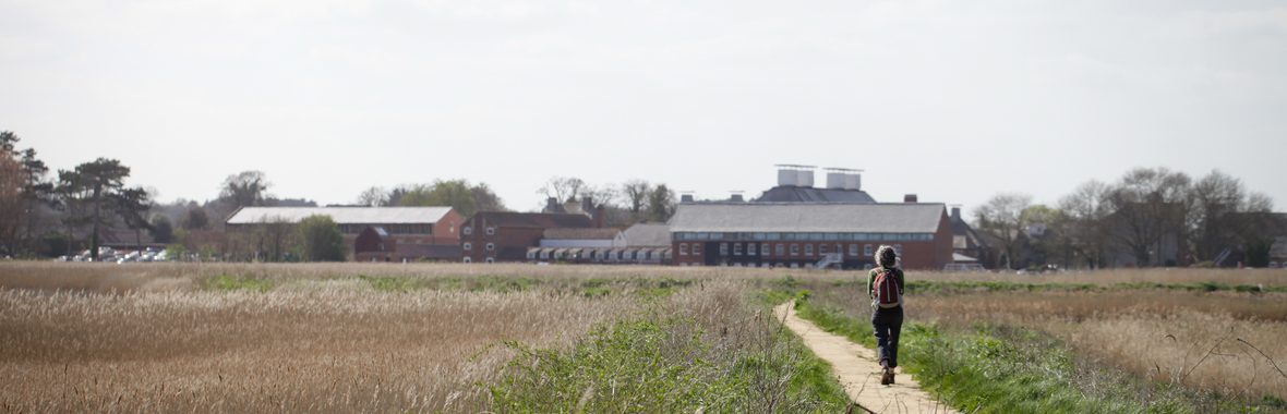 A footpath on the Snape Maltings site