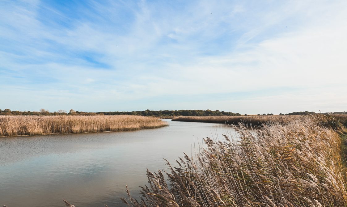 Scenic river view, surrounded by reeds under a blue sky.