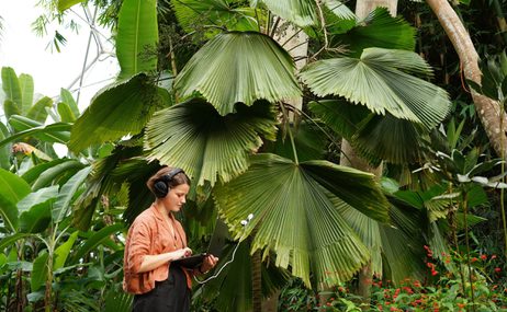 Young woman with brown hair wearing headphones and holding a laptop in the middle of a forest.