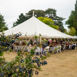 A gazebo outside with a group of people under it