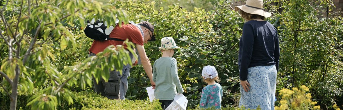 A family in a nature trail.