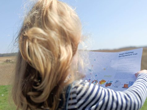 A child looking at the nature trail map.
