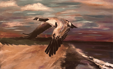 painting of a canadian goose in flight
