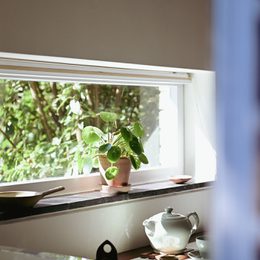 Internal view of a landscape window with a potted plant on the windowsill.